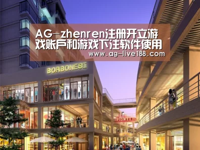 案例展示一(图1)