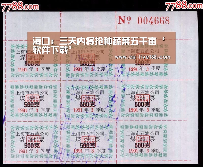 海口:三天内将抢种蔬菜五千亩‘软件下载’(图3) AG真人